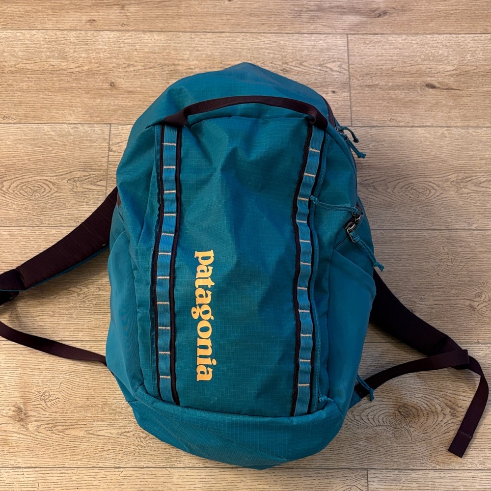 Patagonia Teal Backpack